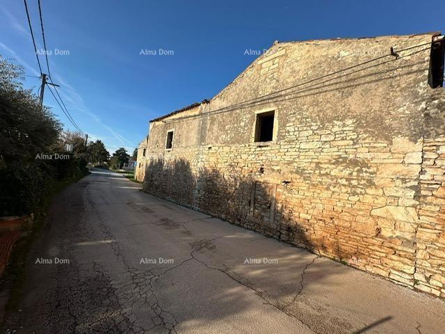 PULA