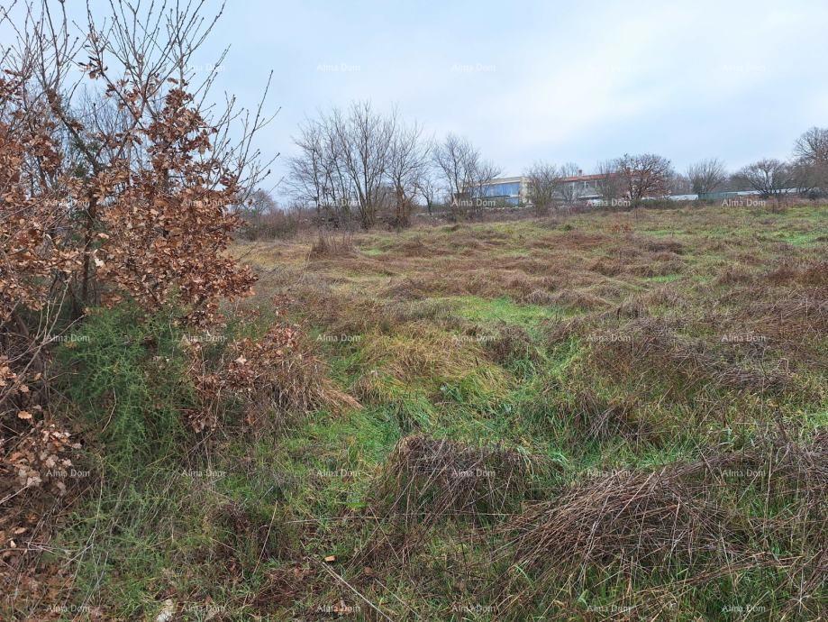 KANFANAR