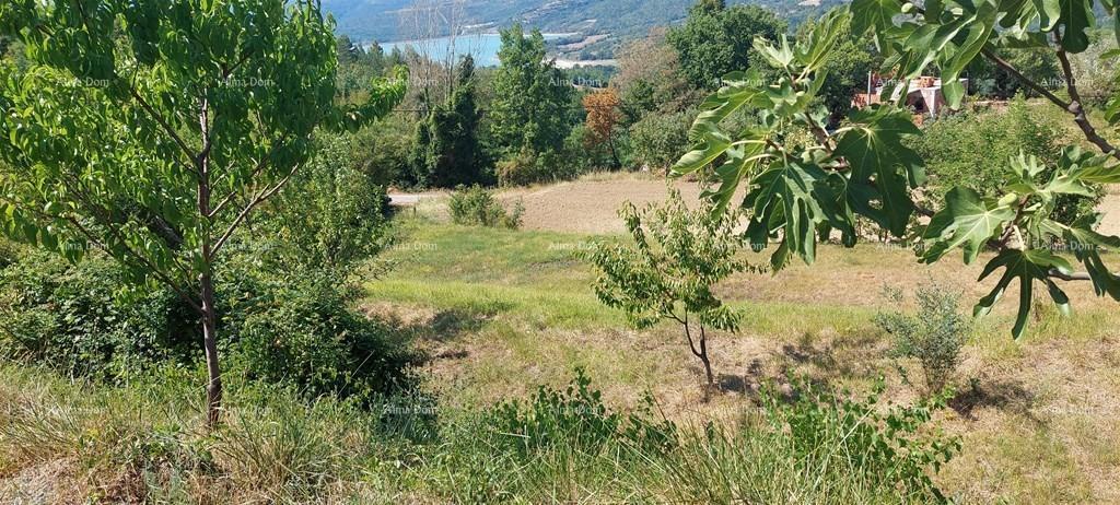 PAZIN