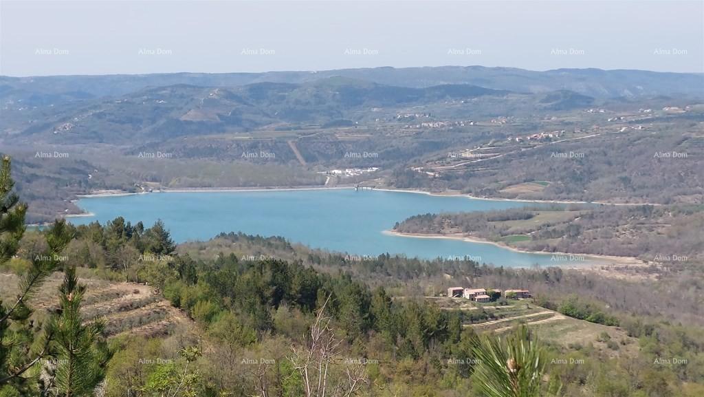 PAZIN