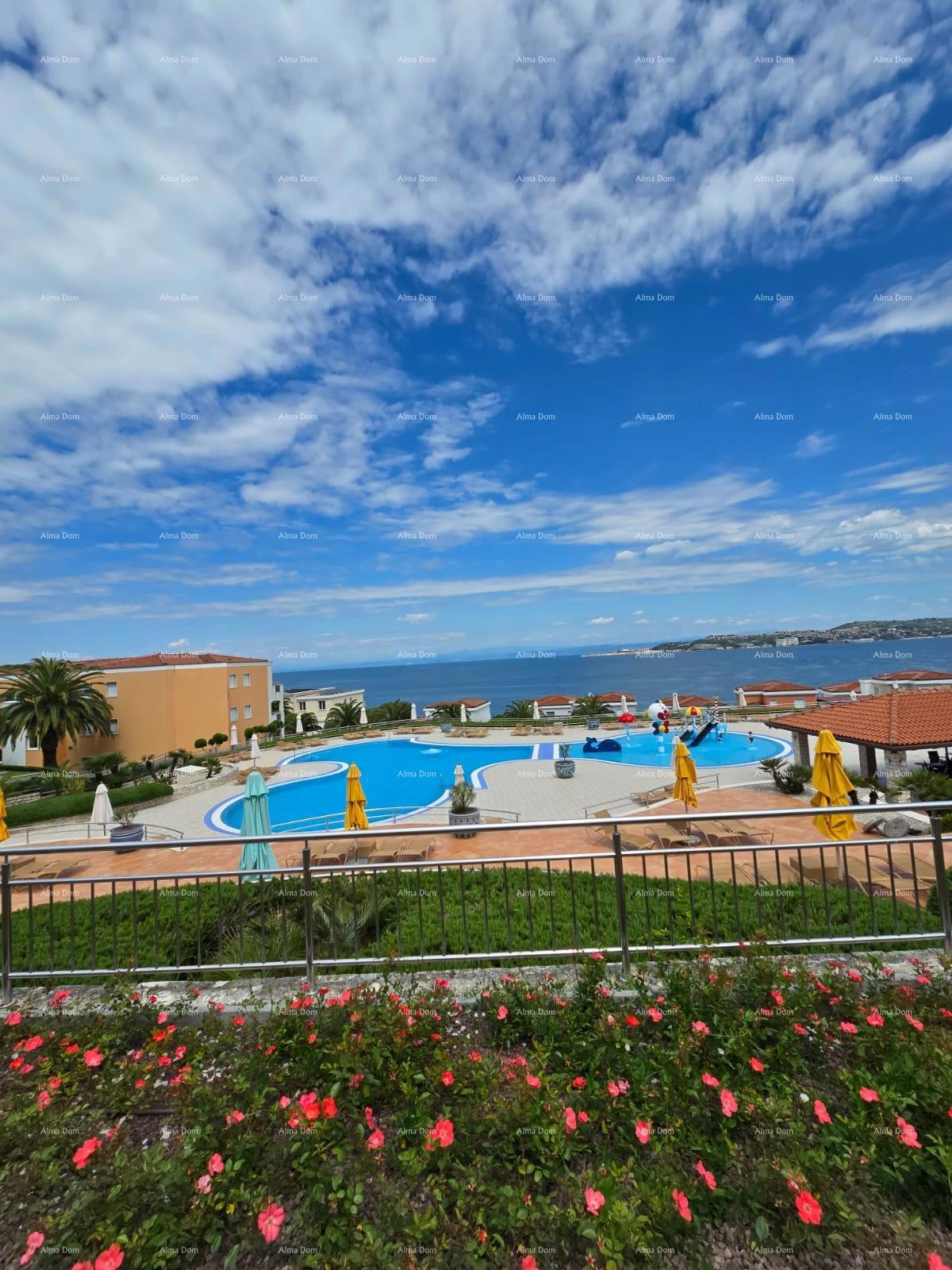 UMAG