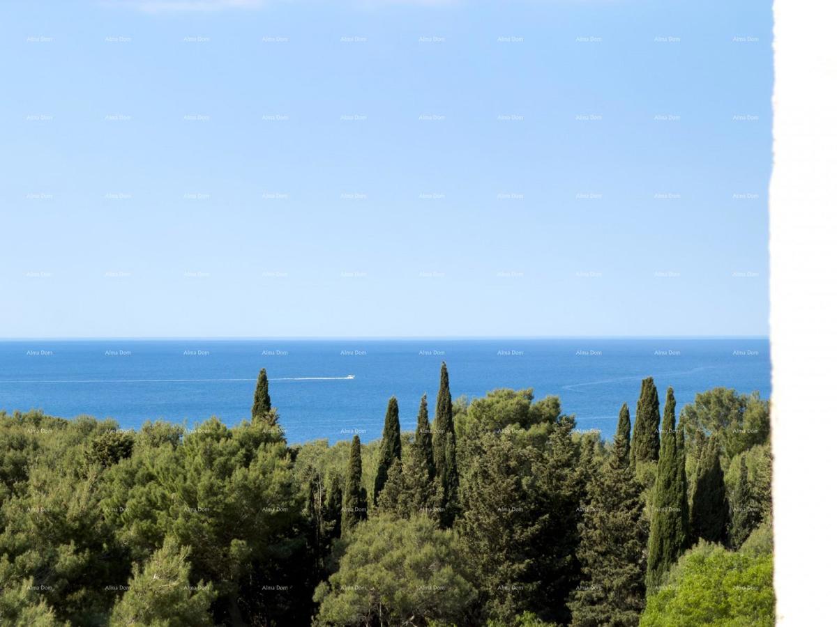 Sale - Apartment with a Sea View - Two Minutes to the Lungomare Promenade, Pula!