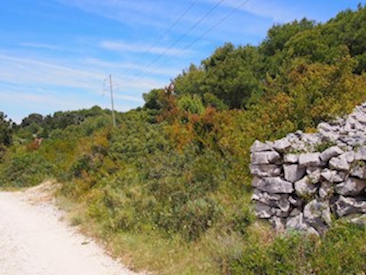 ZVERINAC