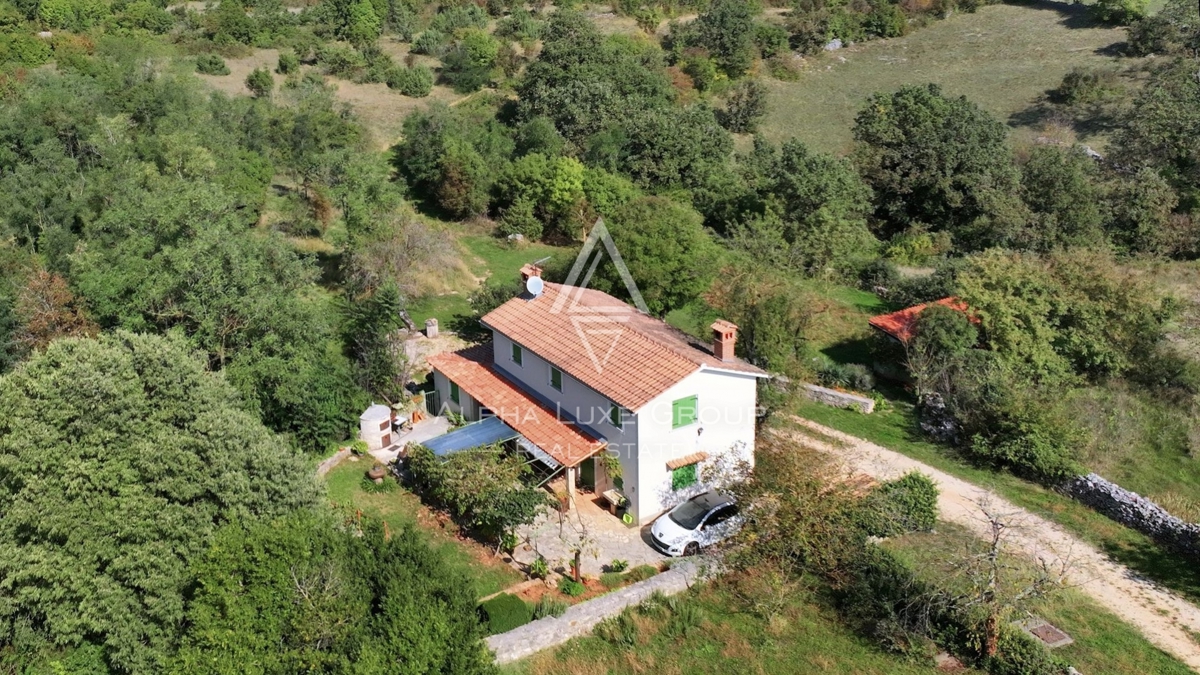 ŽMINJ