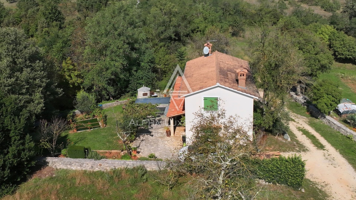 ŽMINJ