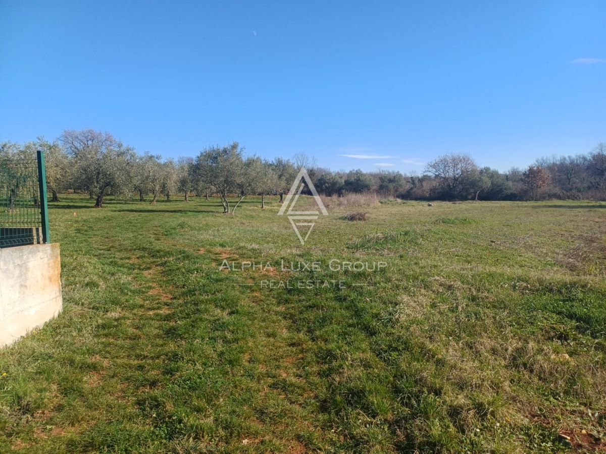 VABRIGA