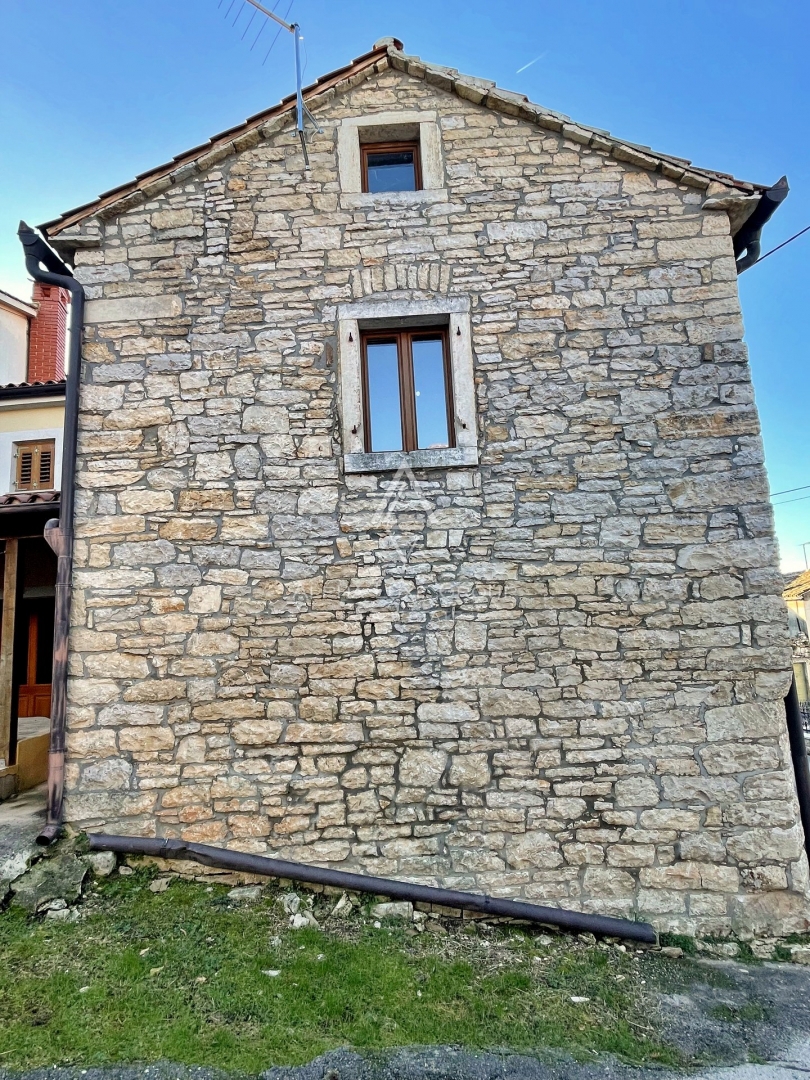 ŽMINJ