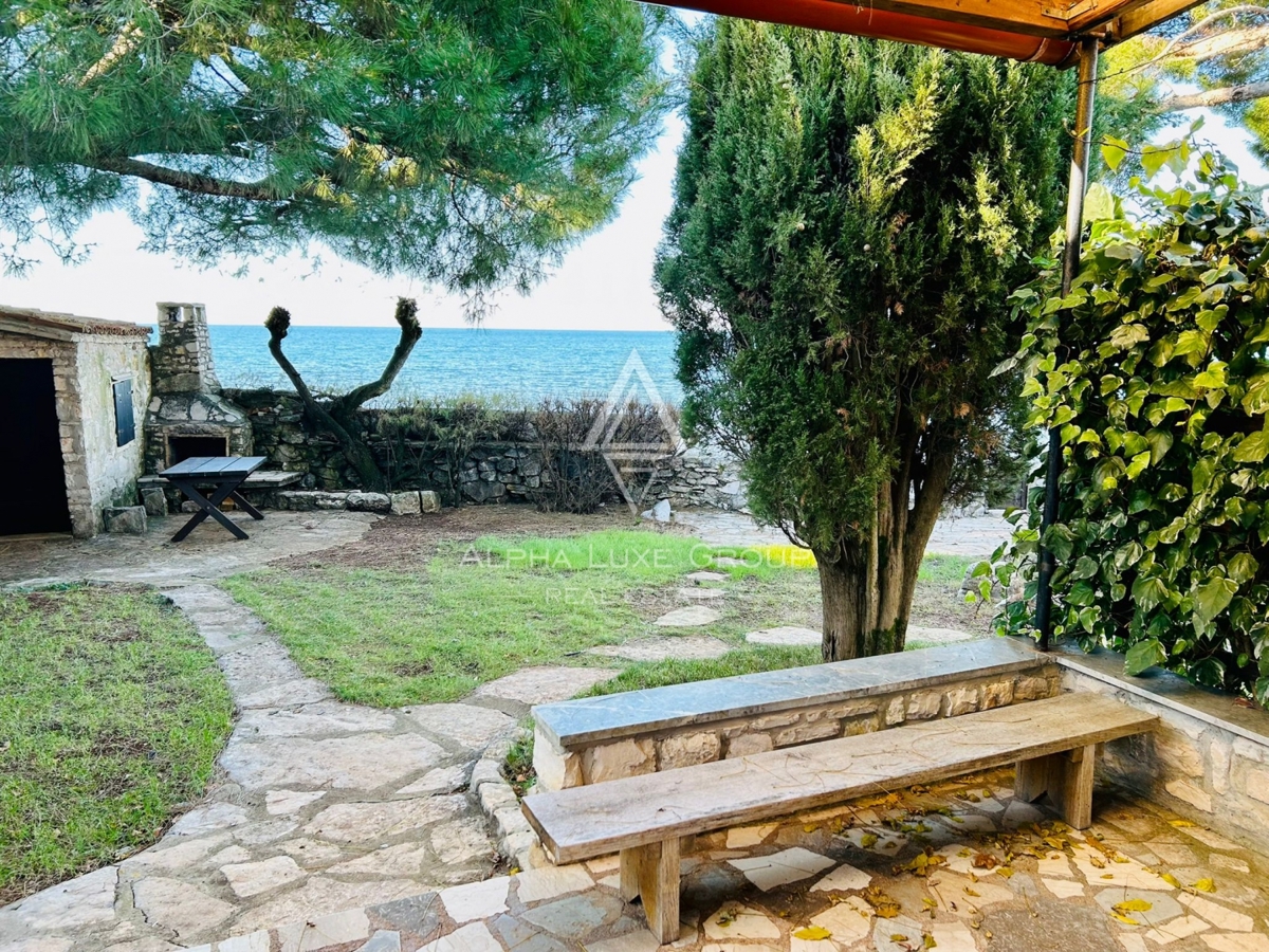 UMAG