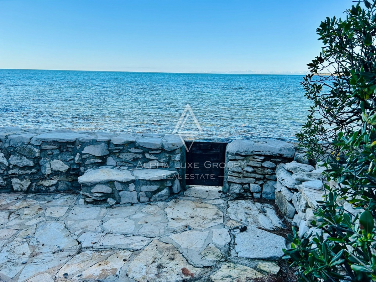 UMAG