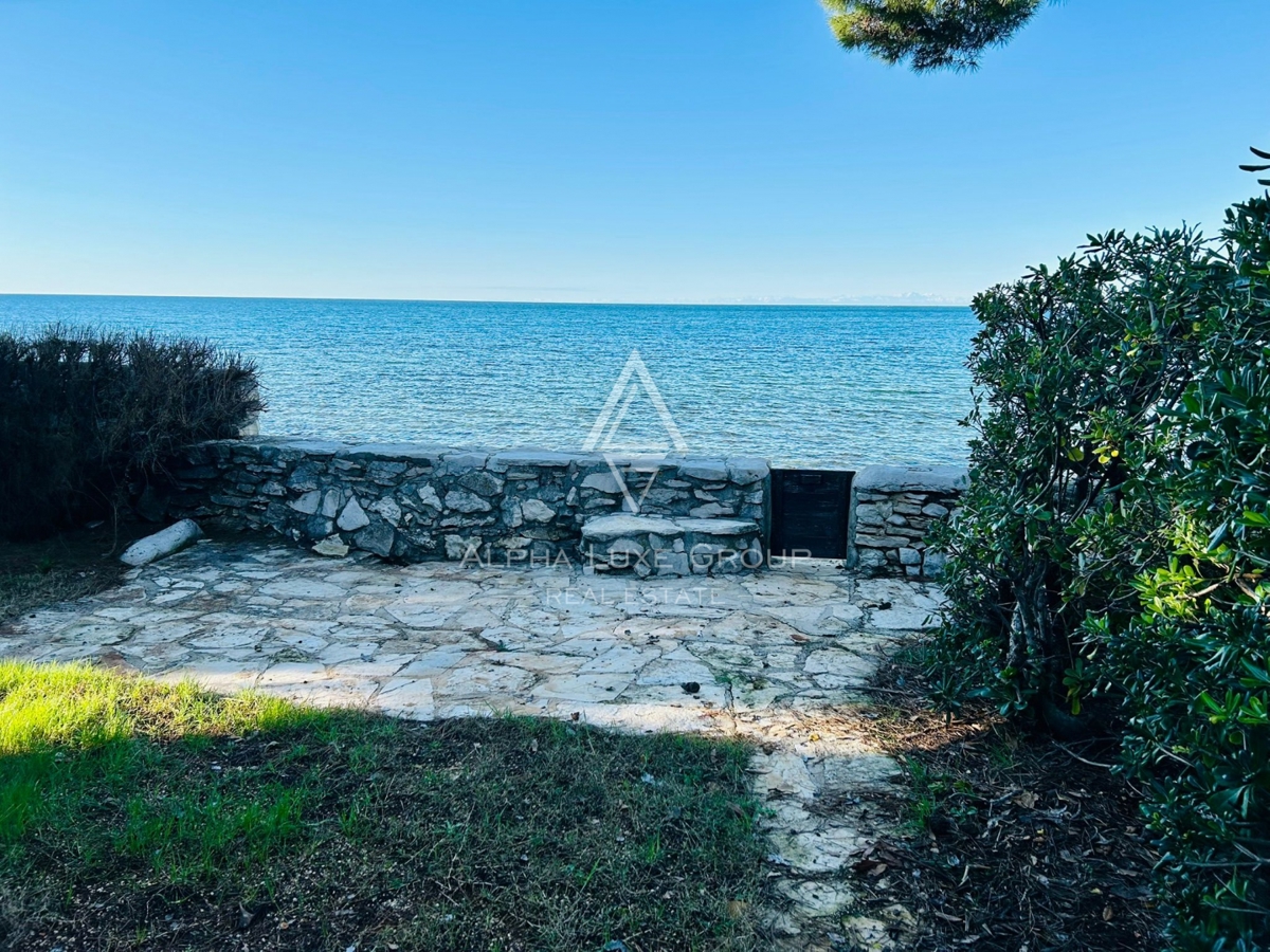 UMAG