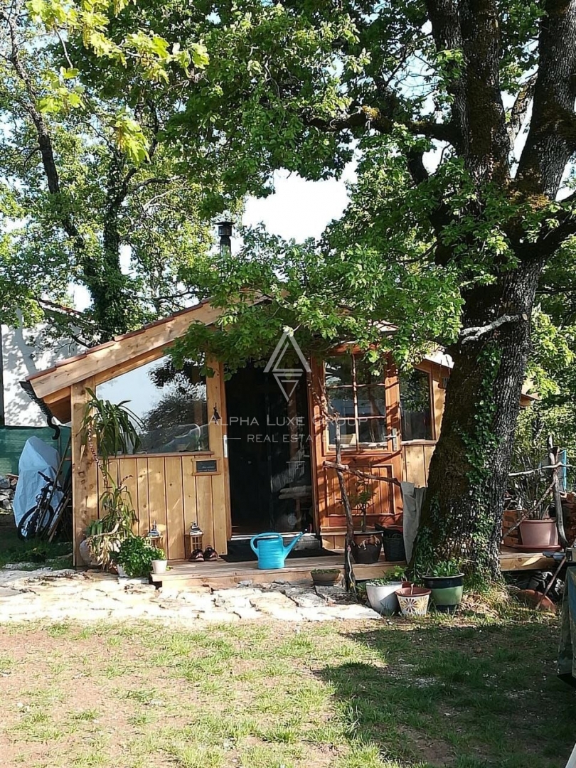 image 13