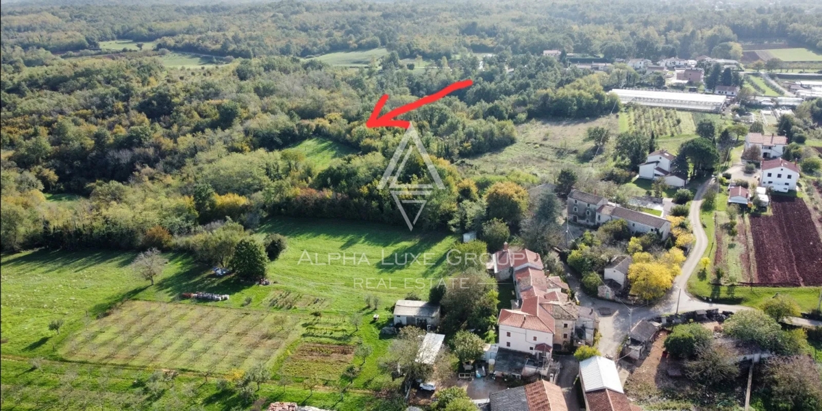 VIŠNJAN
