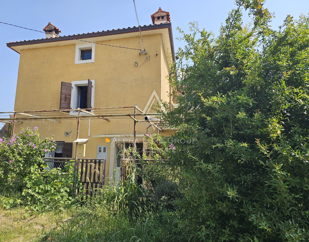 BRTONIGLA