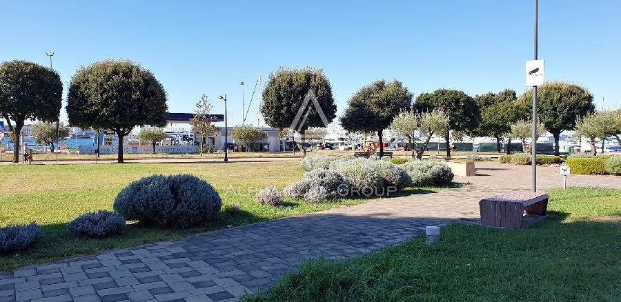 UMAG