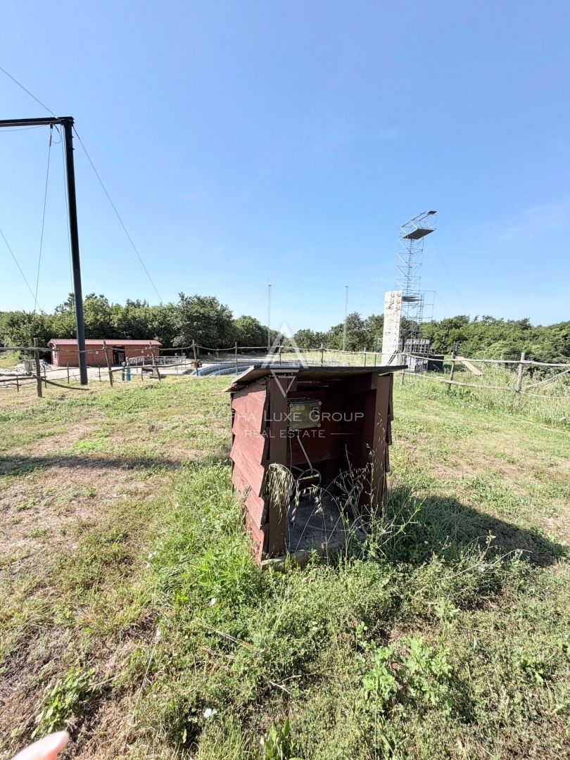 image 14