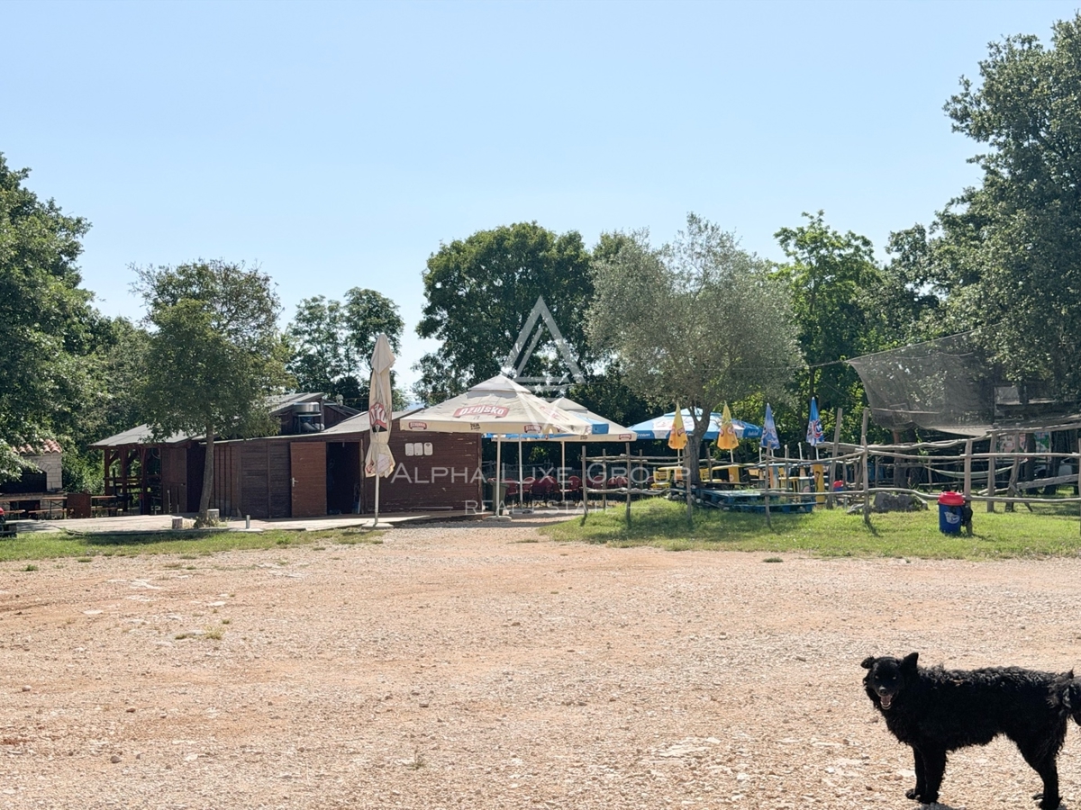 image 13