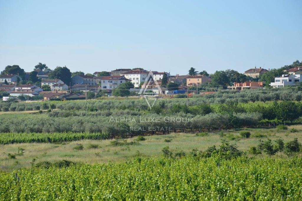 VIŠNJAN