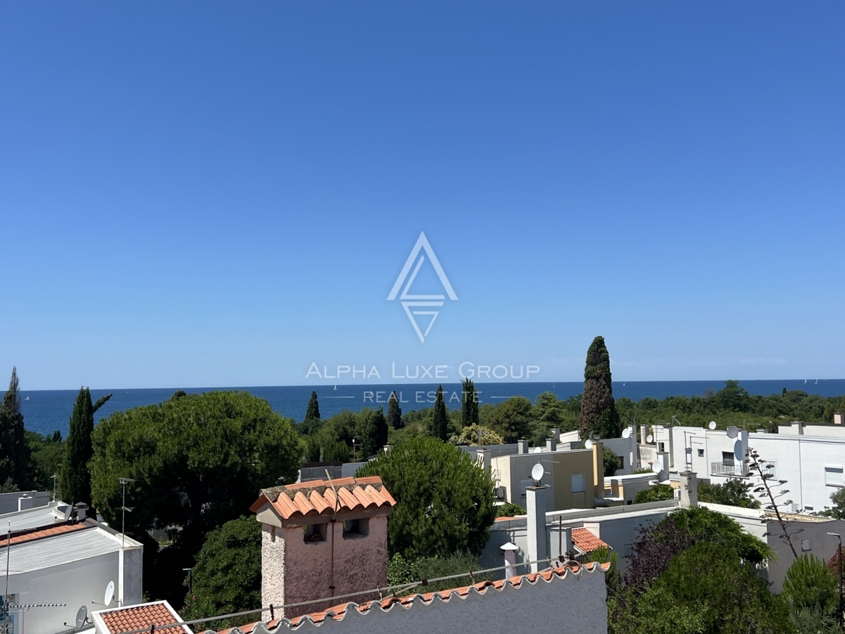 NOVIGRAD