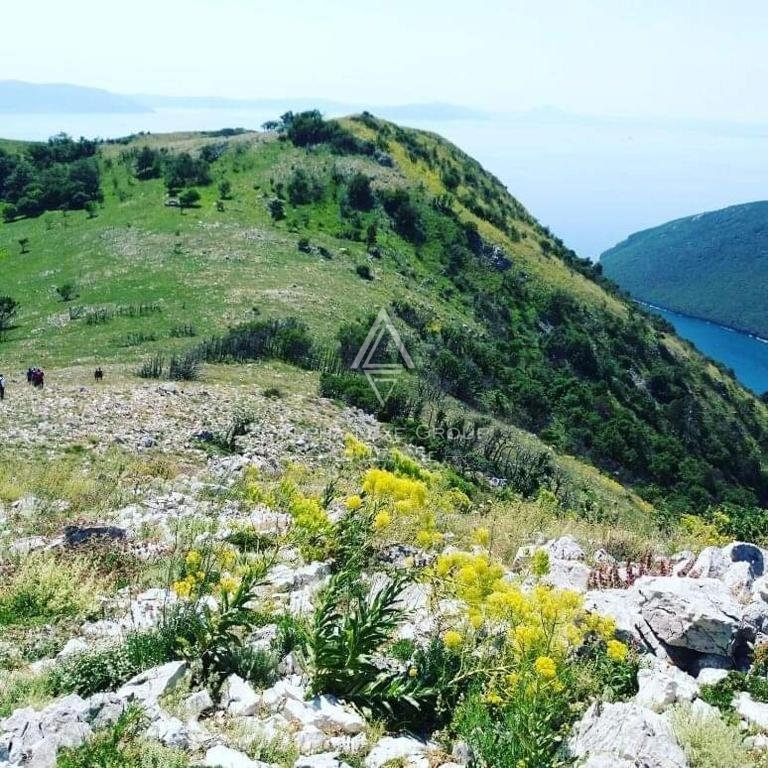 LABIN