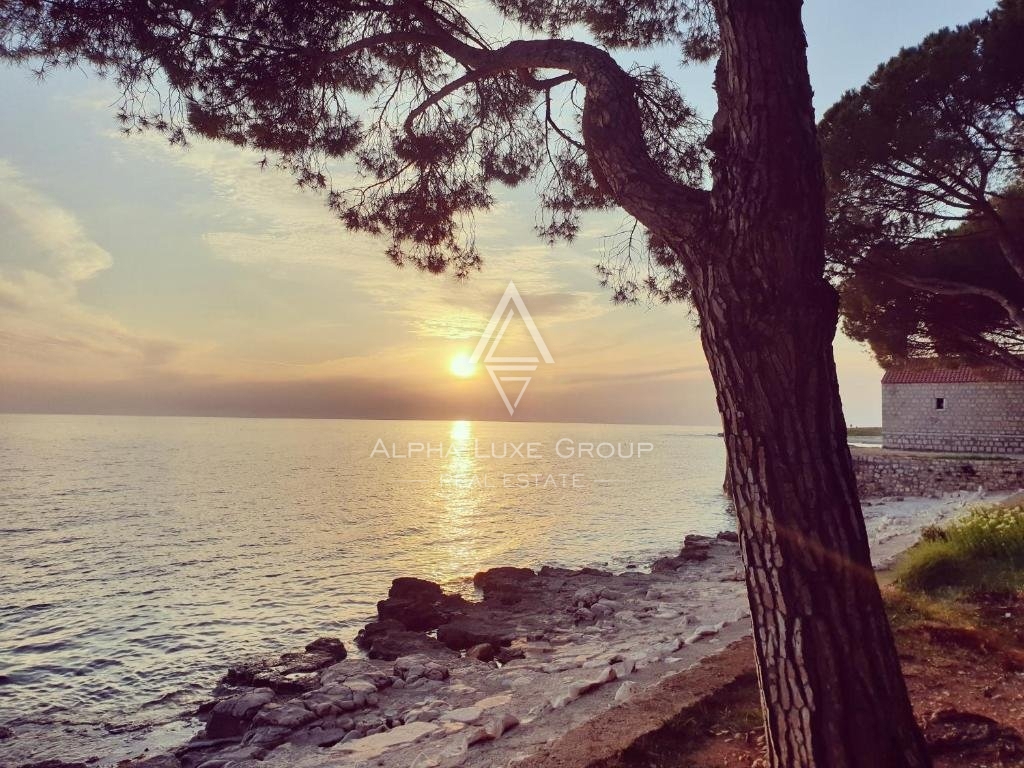 UMAG