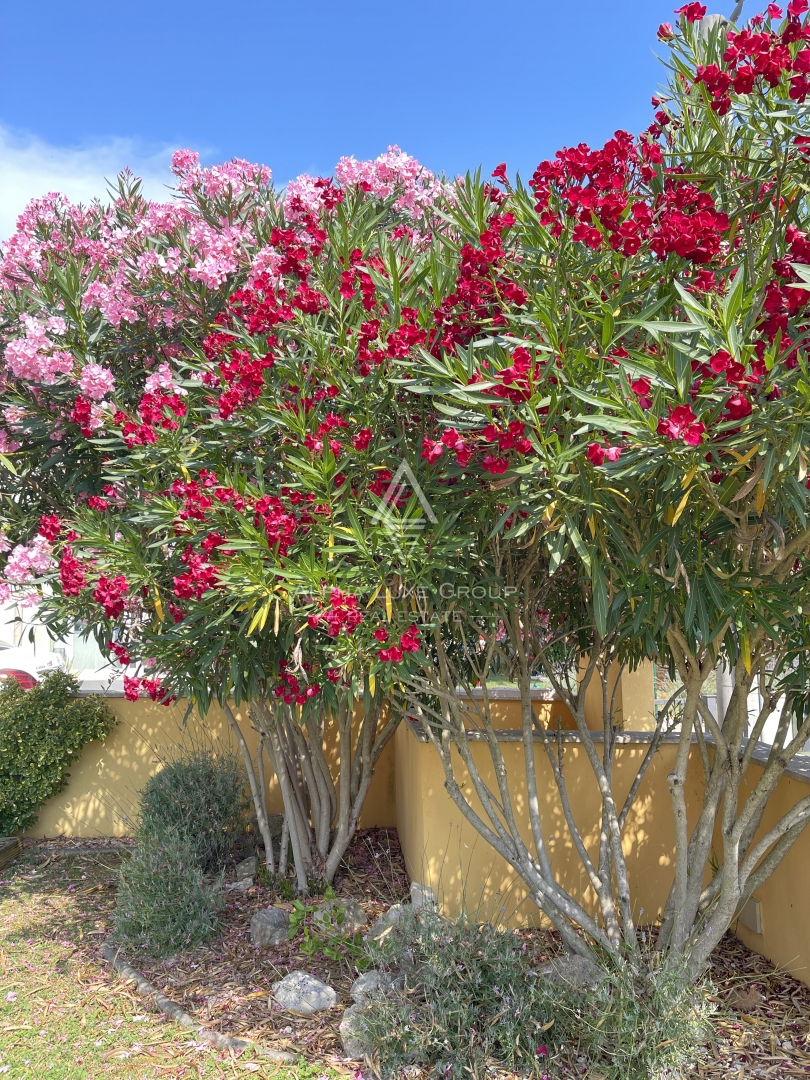 image 30