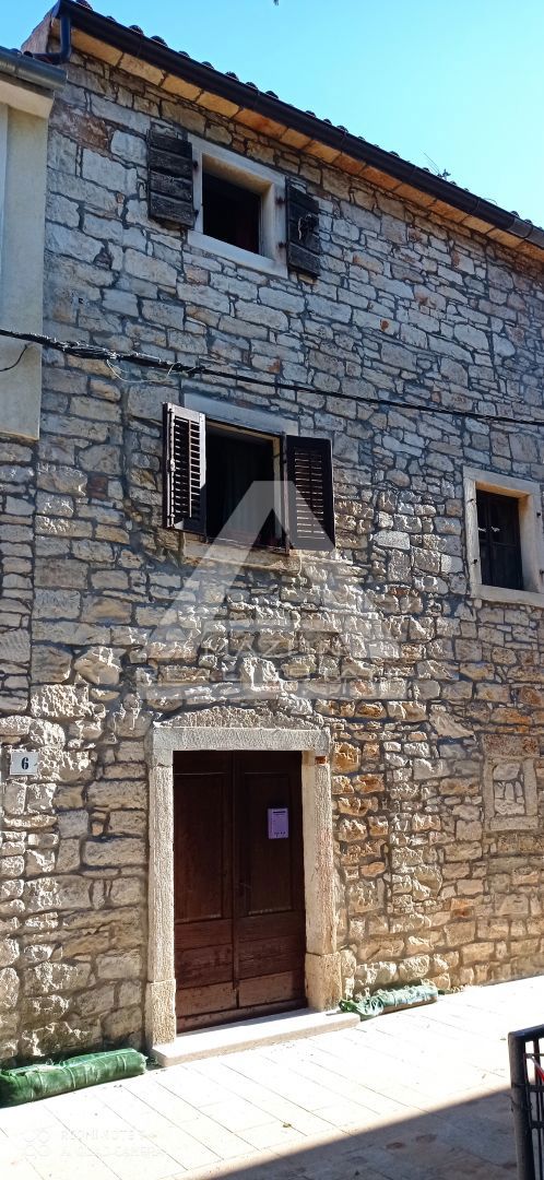 NOVIGRAD