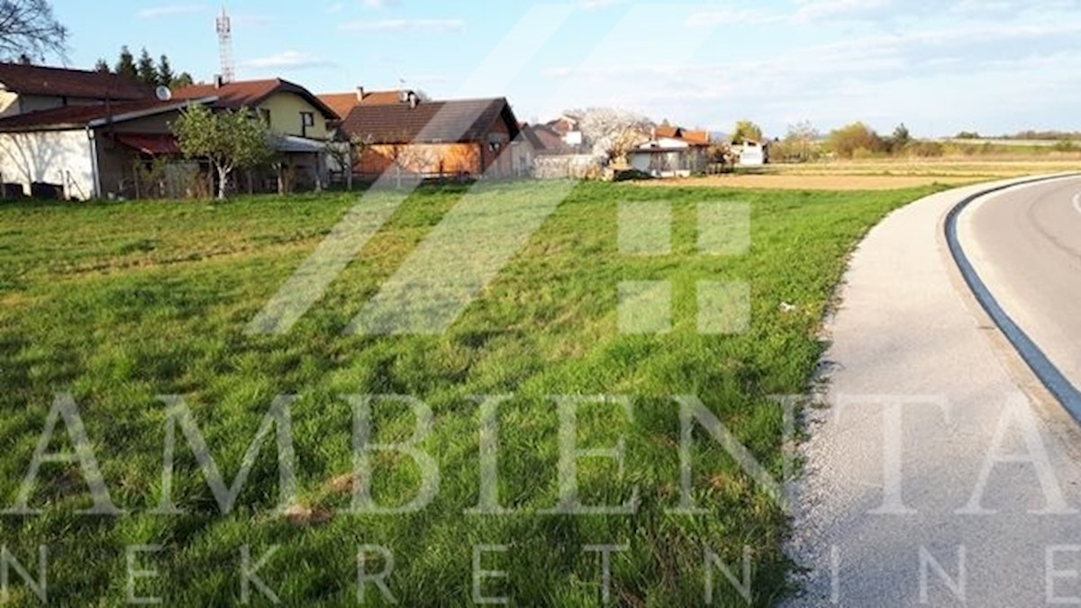 BREZJE