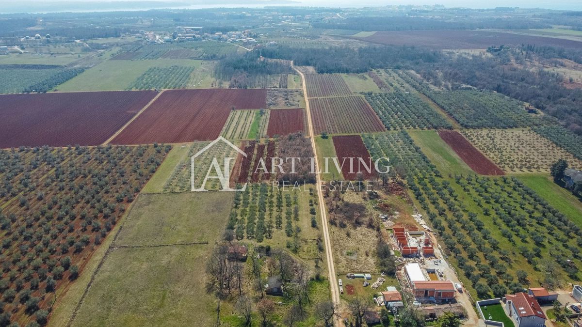 Okolica Novigrada - atraktivno zemljišče na TOP legi v coni T3, možnost naložbe – 2