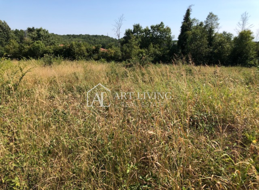 Novigrad-okolica, gradbeno zemljišče 3618 m2 s pogledom na morje – 3