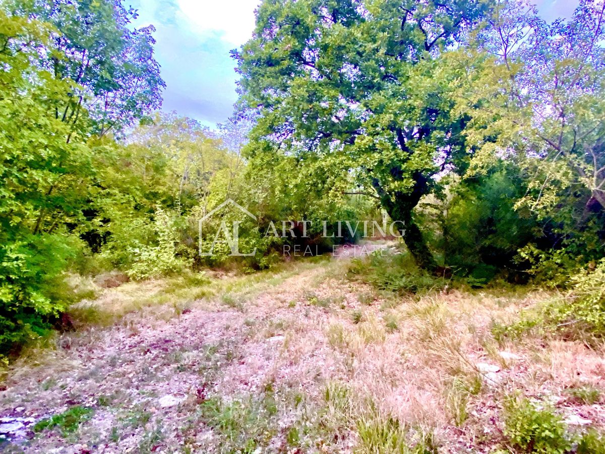Umag-okolica, poljoprivredno zemljište na atraktivnoj lokaciji 1150 m2 – 3