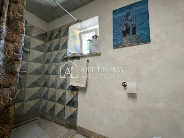 image 65