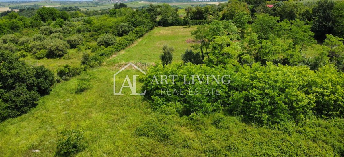 Brtonigla, Umgebung – interessantes landwirtschaftliches Grundstück von 1.900 m² – 3