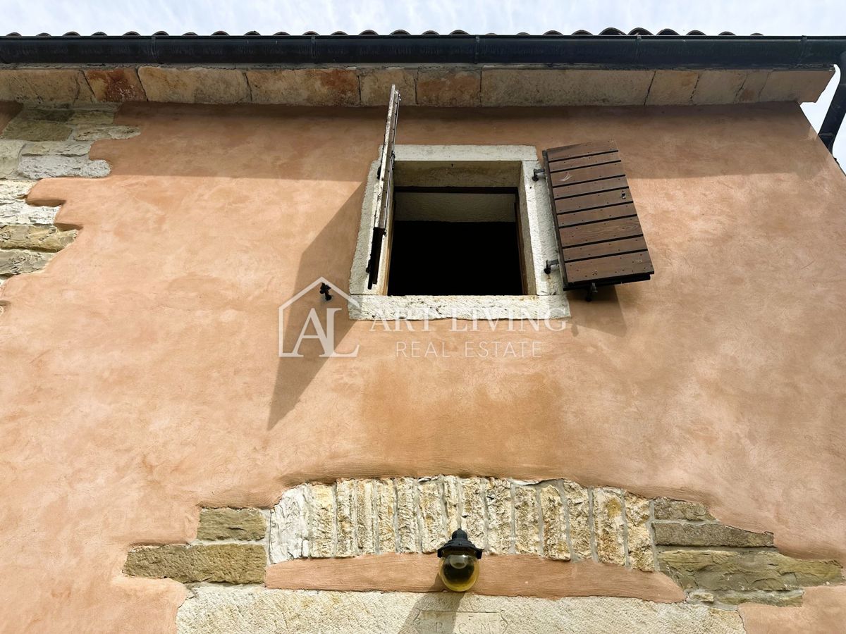 image 23