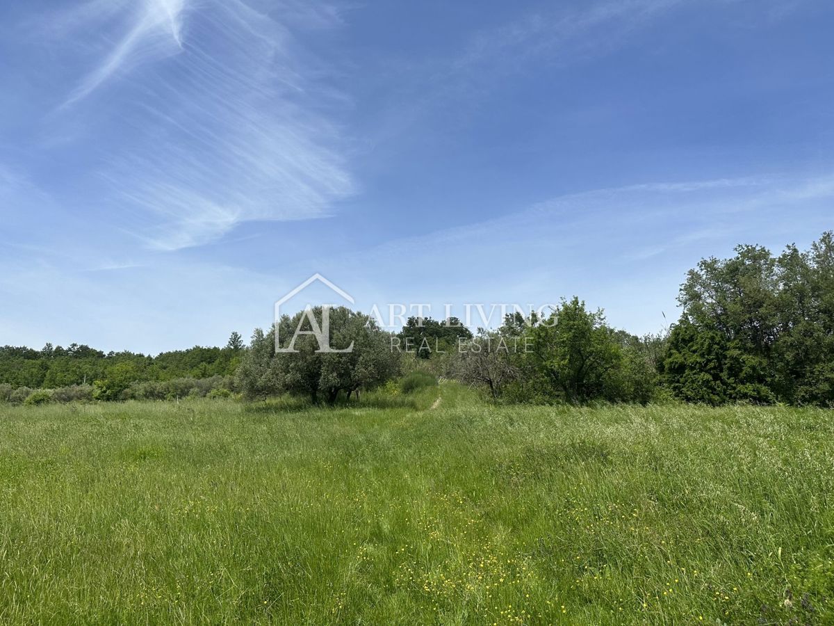 BUJE
