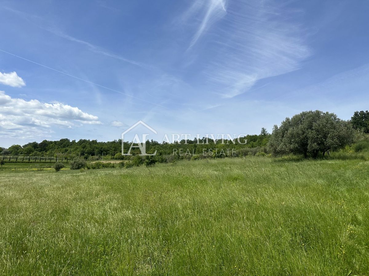 BUJE