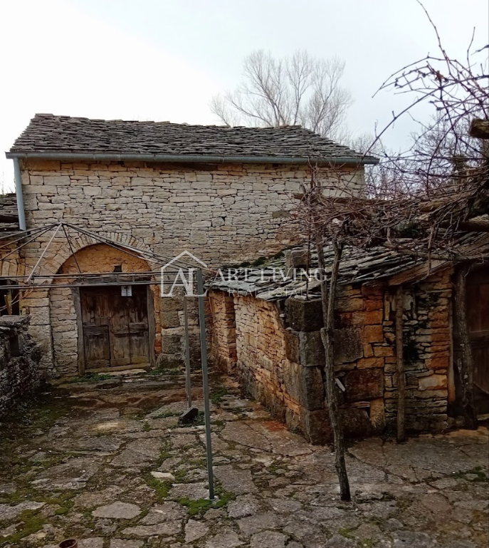 image 22