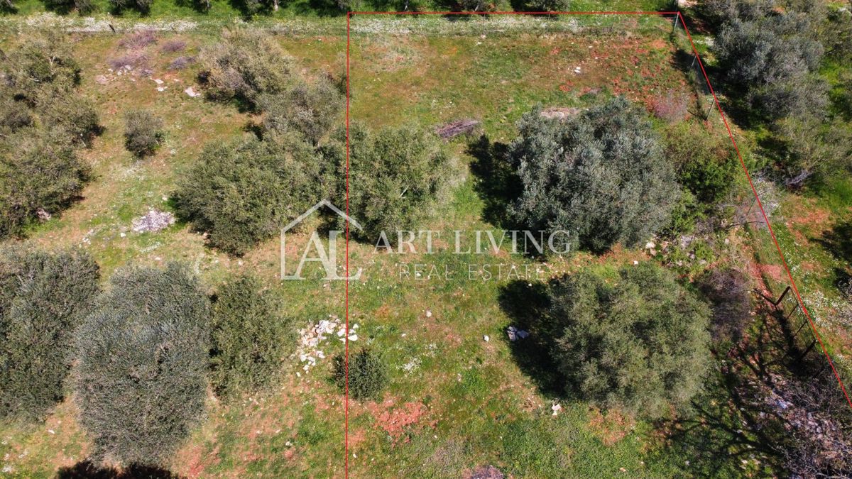 Buje - Kaštel -građevinsko zemljište 1250 m2, PRILIKA – 3