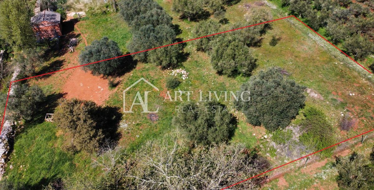 Buje - Kaštel -građevinsko zemljište 1250 m2, PRILIKA – 2