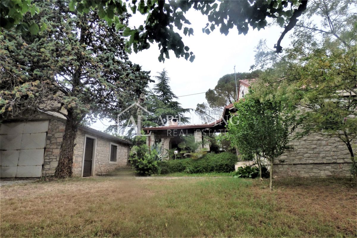 image 13