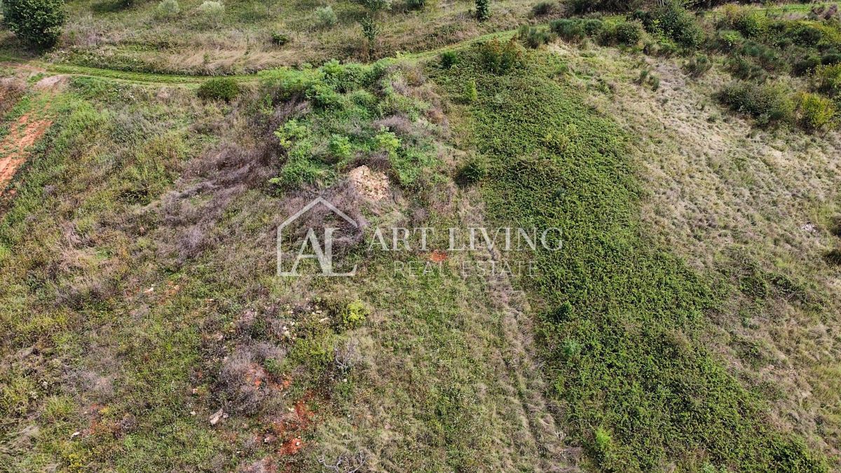 Umag, okolica - Atraktivno poljoprivredno zemljište, 2.600 m² na odličnoj lokaciji – 2