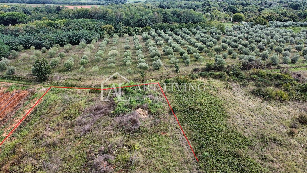 Umag, okolica - Atraktivno poljoprivredno zemljište, 2.600 m² na odličnoj lokaciji – 3