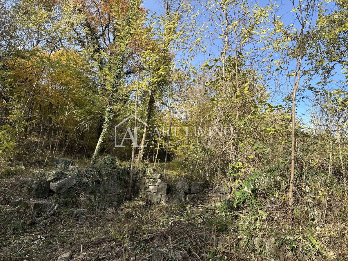 Istra, Buje, okolica - kmetijsko zemljišče 20.000 m² z vrisanim objektom. – 2