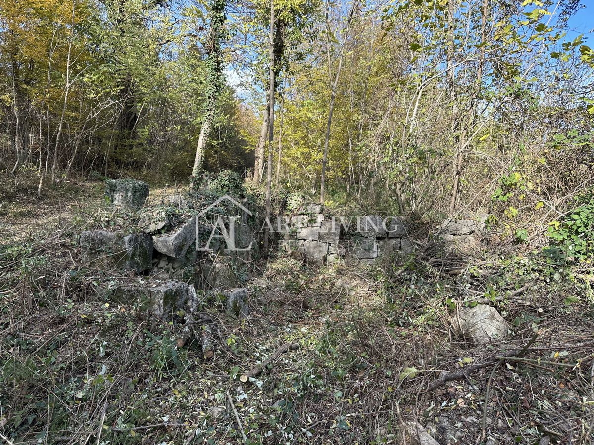 Istra, Buje, okolica - kmetijsko zemljišče 20.000 m² z vrisanim objektom. – 3
