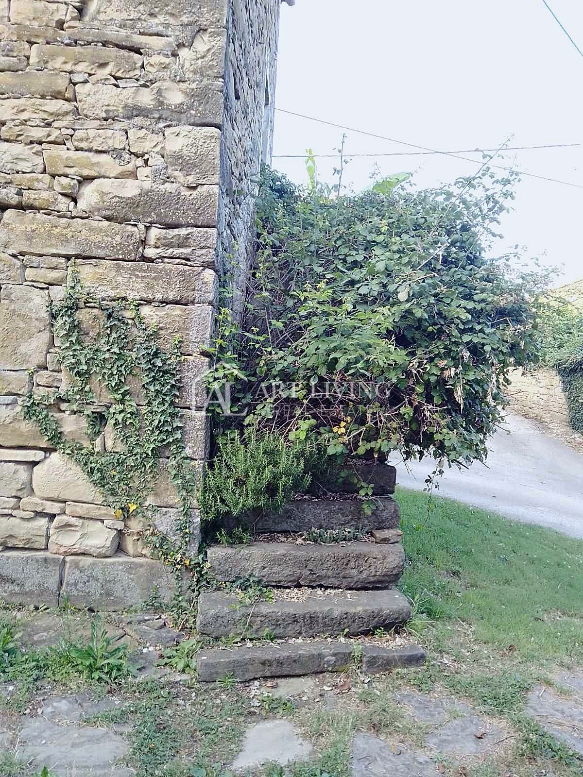 image 13