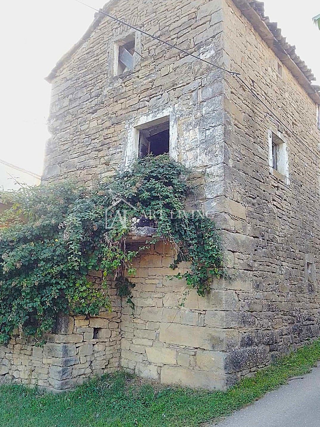 image 12