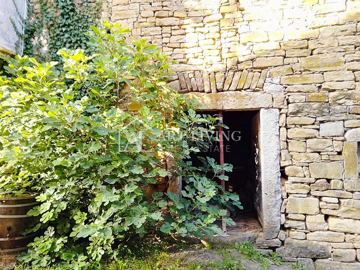 BUZET
