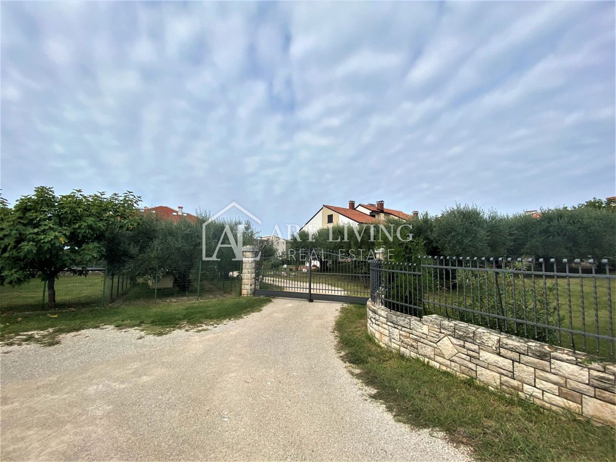 image 61