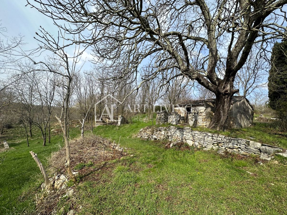 image 26