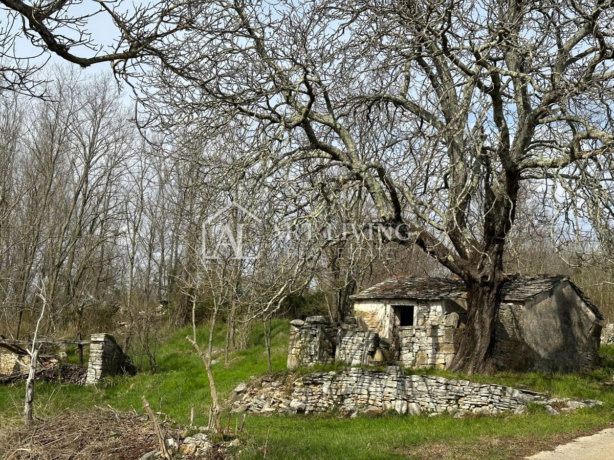 image 30