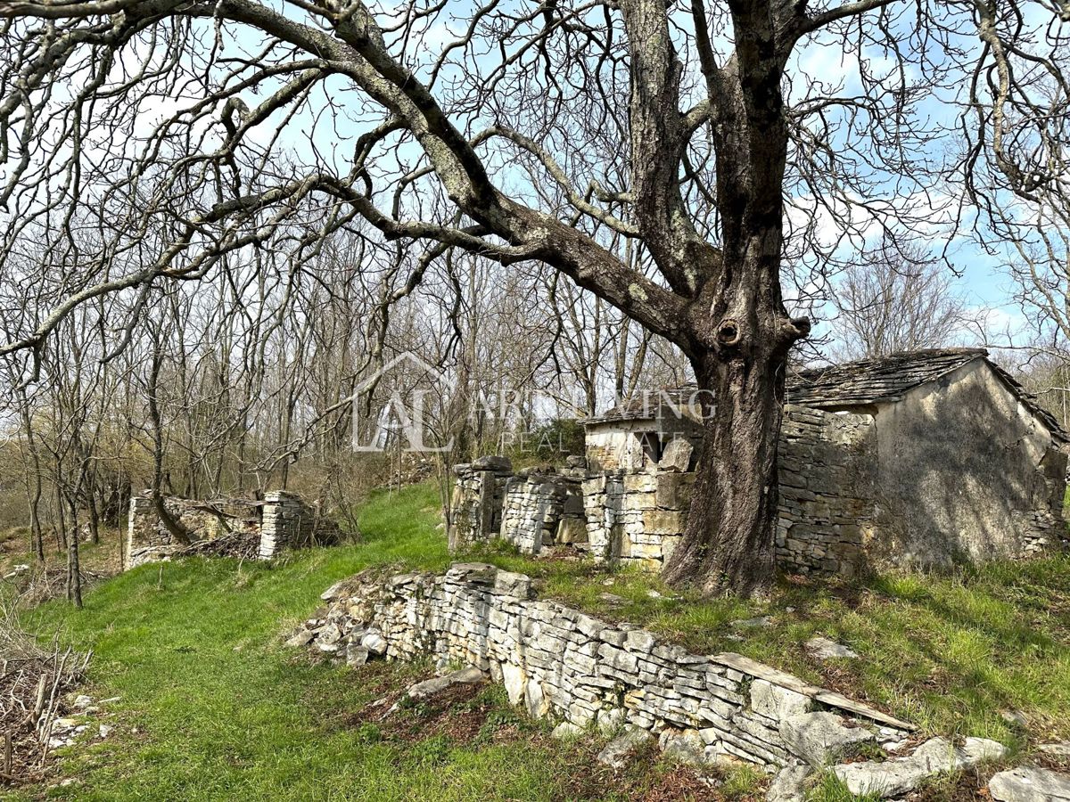 image 23